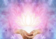 Βίωσε θαύματα στη ζωή σου με το Ρέικι reiki hands with lotus