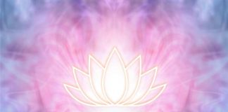 Βίωσε θαύματα στη ζωή σου με το Ρέικι reiki hands with lotus