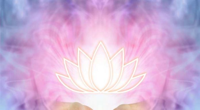 Βίωσε θαύματα στη ζωή σου με το Ρέικι reiki hands with lotus