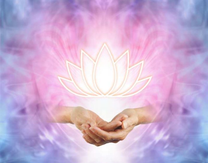 reiki hands with lotus