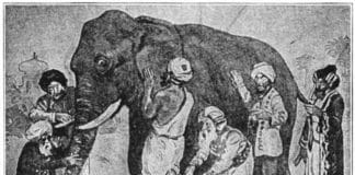 Μια παραβολή για την αξία της συνεργασίας με σκοπό την γνώση