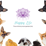 Τα οφέλη των κατοικίδιων ζώων στην ζωή μας pets like cats dogs hamster and rabbits