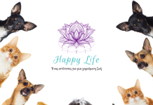 Τα οφέλη των κατοικίδιων ζώων στην ζωή μας pets like cats dogs hamster and rabbits