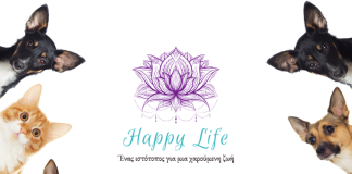 Τα οφέλη των κατοικίδιων ζώων στην ζωή μας pets like cats dogs hamster and rabbits