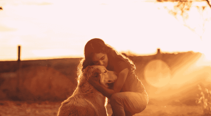 Ενσυναίσθηση: Πώς να αισθάνεστε και να ανταποκρίνεστε στα συναισθήματα των άλλων a woman hugging a dog