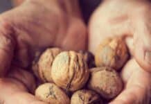 Τα Οφέλη των Καρυδιών στην Υγεία anthropina xeria pou kratane kleista karydia