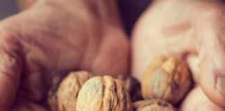 Τα Οφέλη των Καρυδιών στην Υγεία anthropina xeria pou kratane kleista karydia