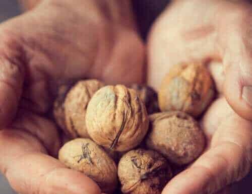 Τα Οφέλη των Καρυδιών στην Υγεία anthropina xeria pou kratane kleista karydia